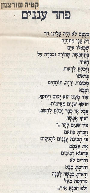 ���� ��� ����� ��� ���� ������, ����� ����